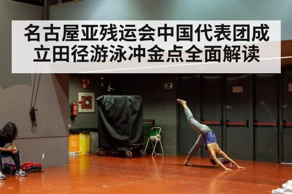 名古屋亚残运会中国代表团成立田径游泳冲金点全面解读